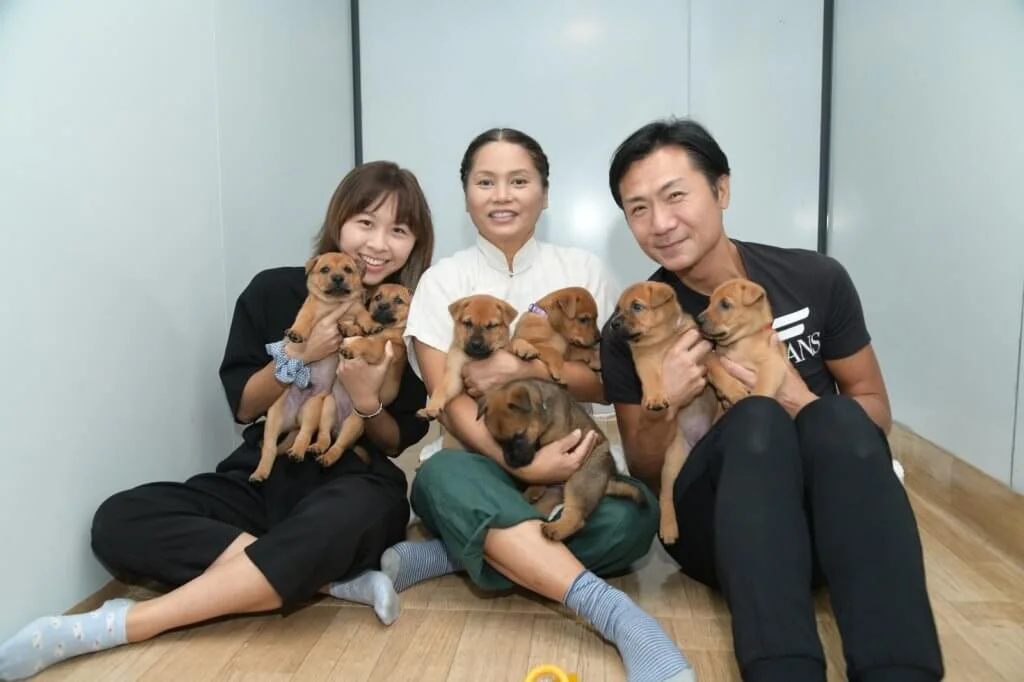 「七小福」的降生，為辛偉強、潘璧雲、邱柔留下甜蜜又難忘的回憶。 