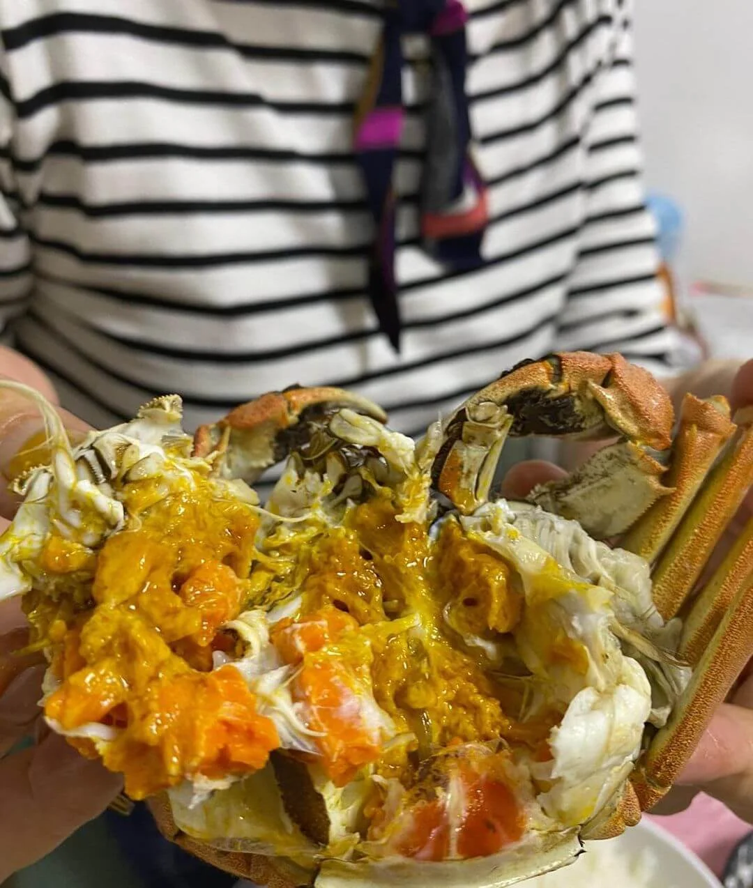 123386866_803289157189346_7296430794841158448_n