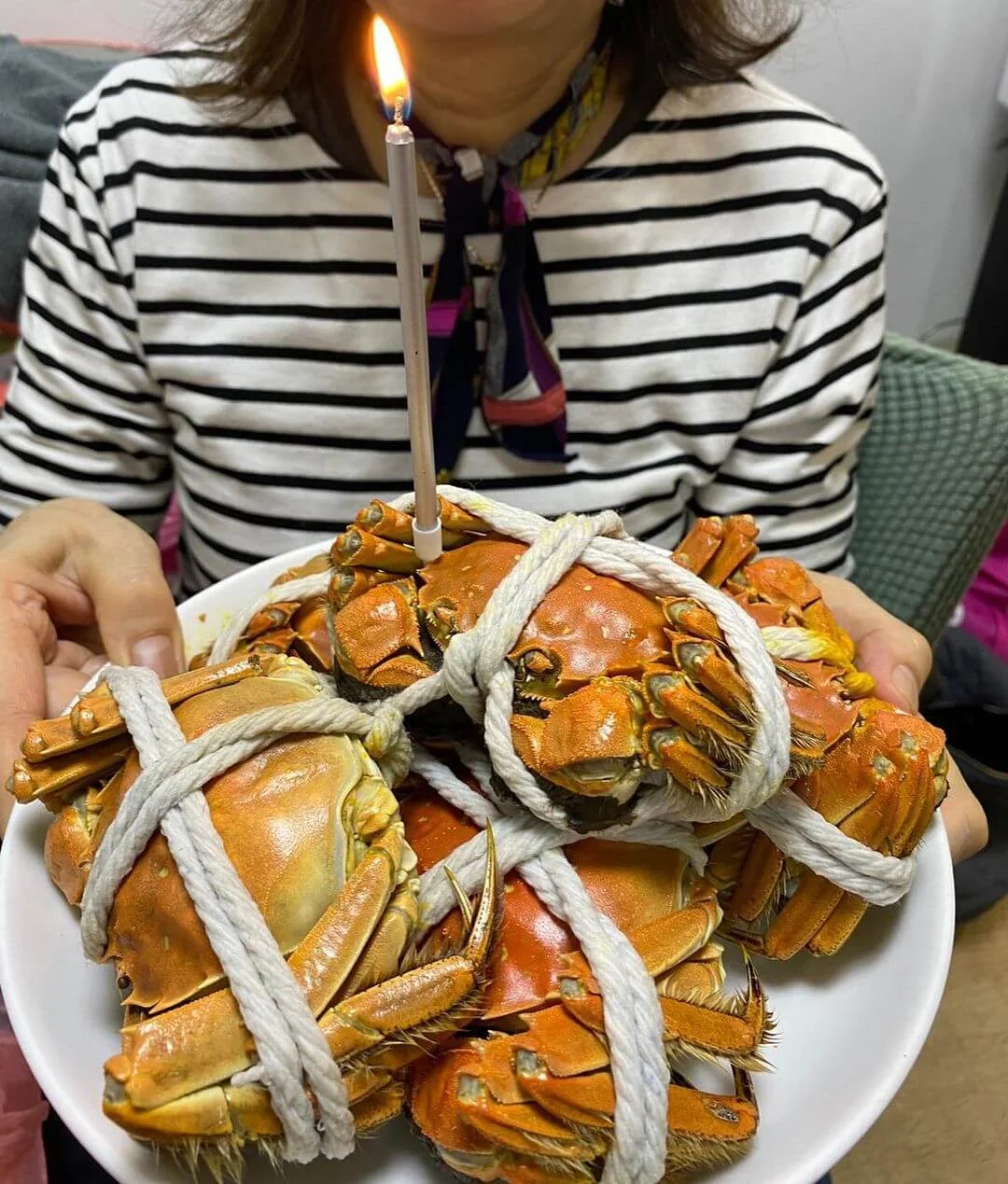 123968370_2821330254762832_2476019698282322132_n