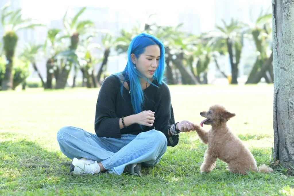 野人會以獎勵方式來訓練Bilu,相比用打罵方式,學習過程會更愉快及有成功感。