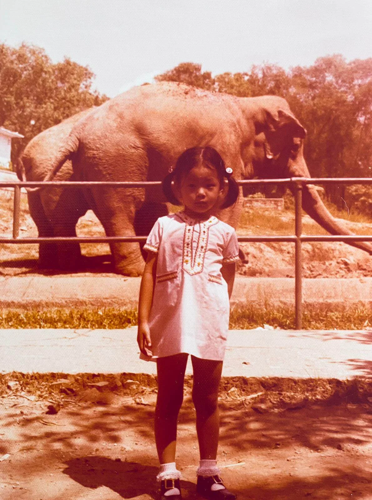 whatsapp-image-2020-10-30-at-14-52-12