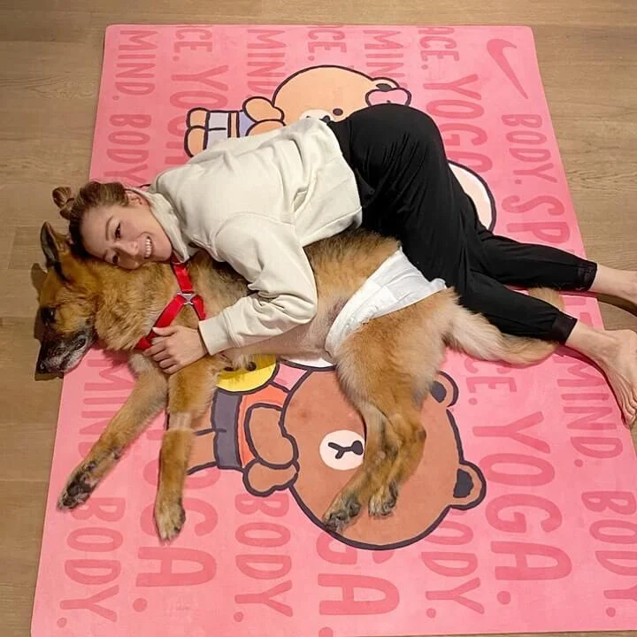 103951308_1158931161154354_5479402447502140943_n