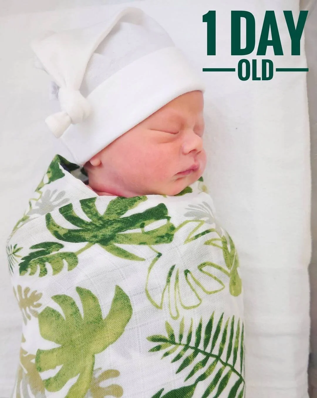 129394509_817359625505564_3700808536667793591_n