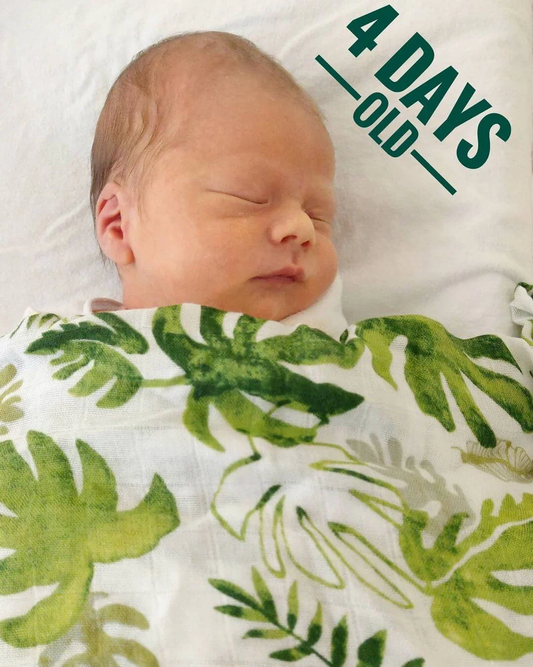 129721534_754282365185875_6782805870745229935_n