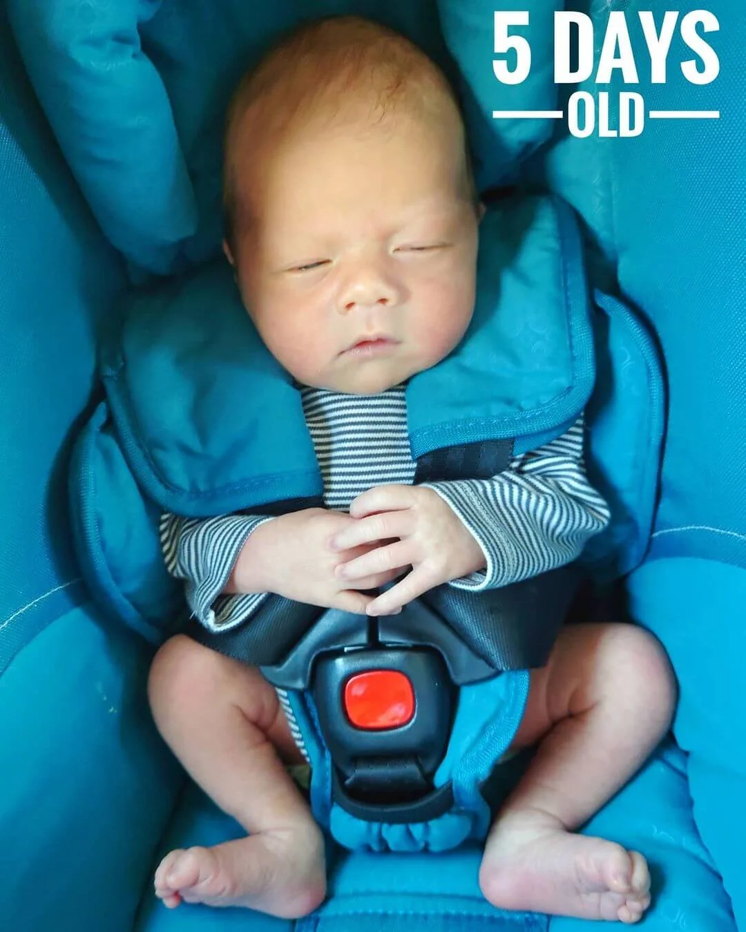 129736820_990053141491329_1121550493126455105_n