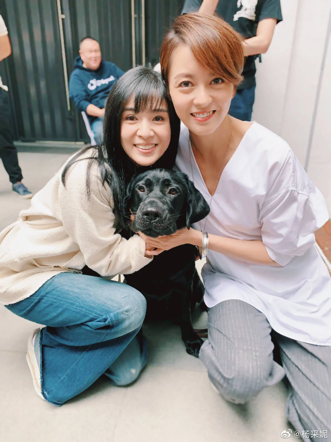 64b04514gy1g76f96h1s3j20u0140hdt