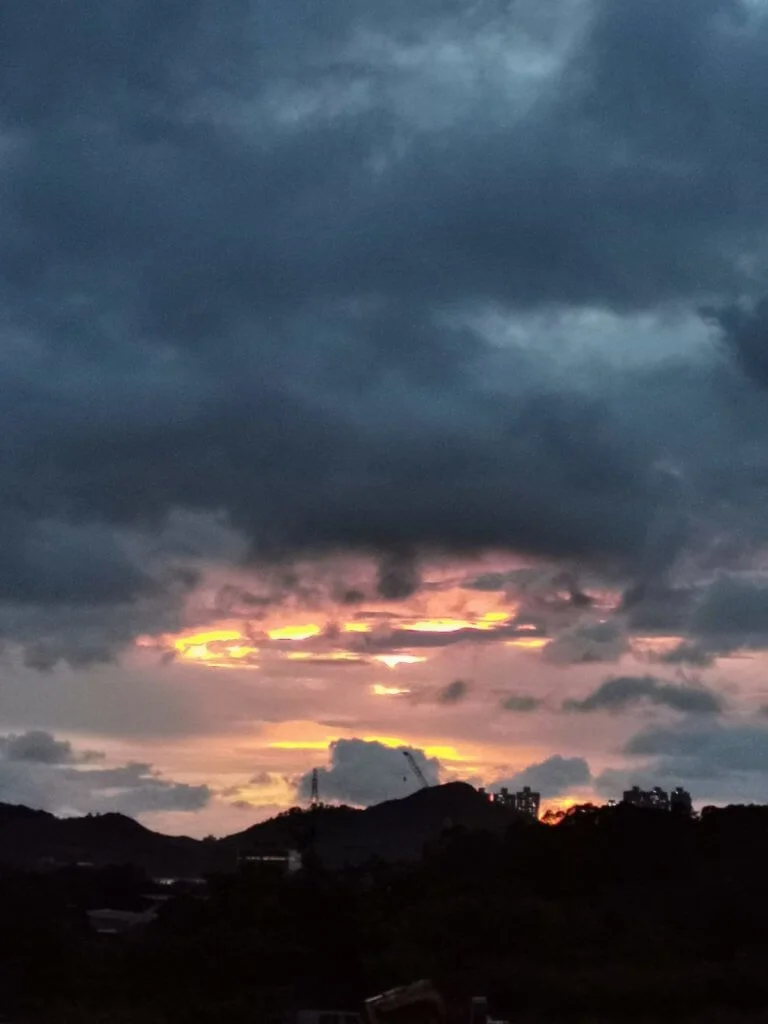 8c81469a-a649-49a3-893c-4b3bd8154ab3