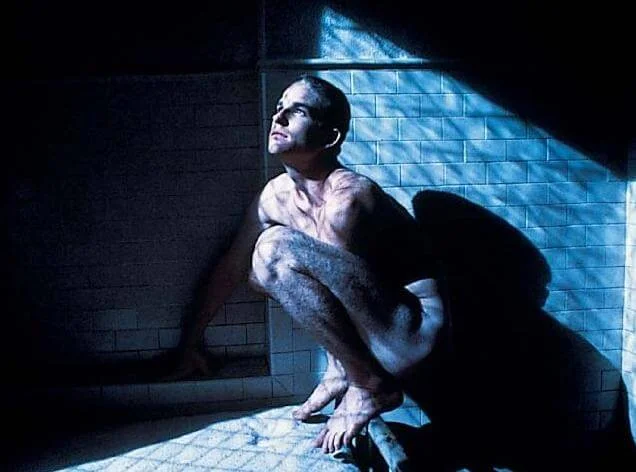 《追鳥》中的馬修在越戰後有創傷症候羣,無法開口說話,整天將自己身軀縮成鳥狀。