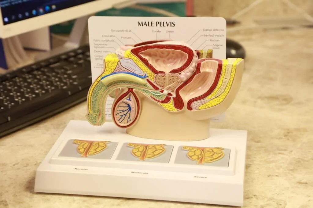 紀錄飲水及小便的份量,可以知道膀胱是否健康正常。