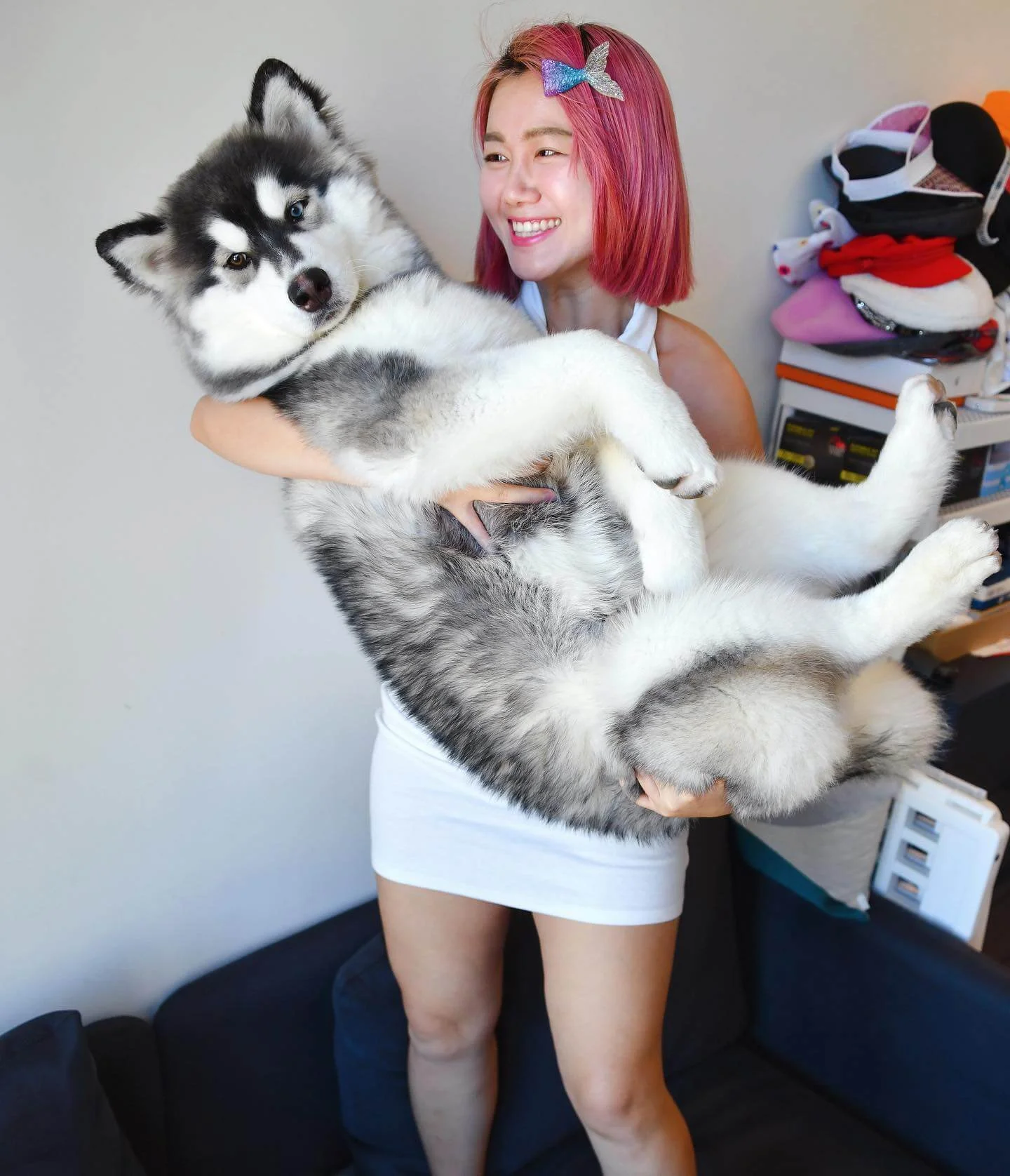 Cash雖然身形巨大,但白雲仍堅持要抱起牠。