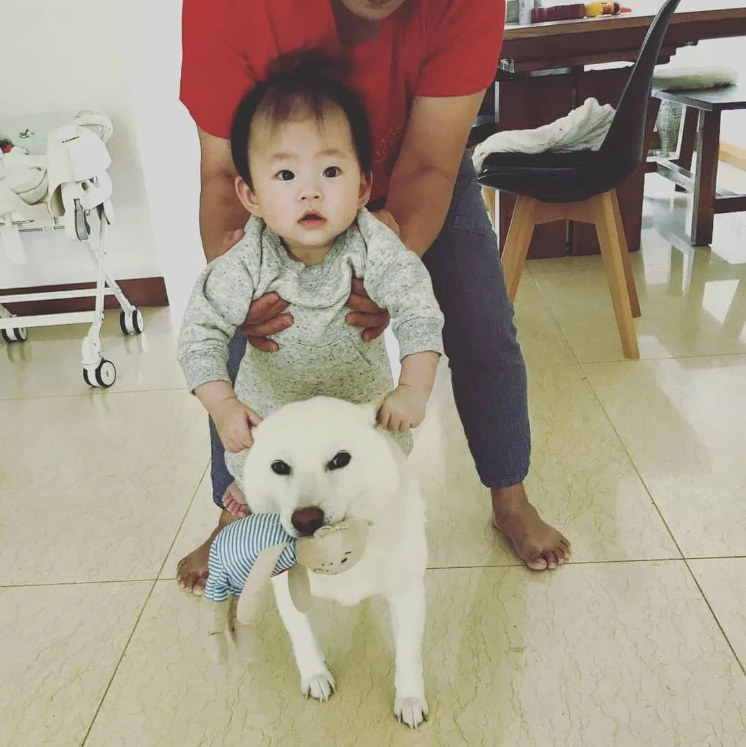 154743554_1035710296918431_8211982343599736601_n