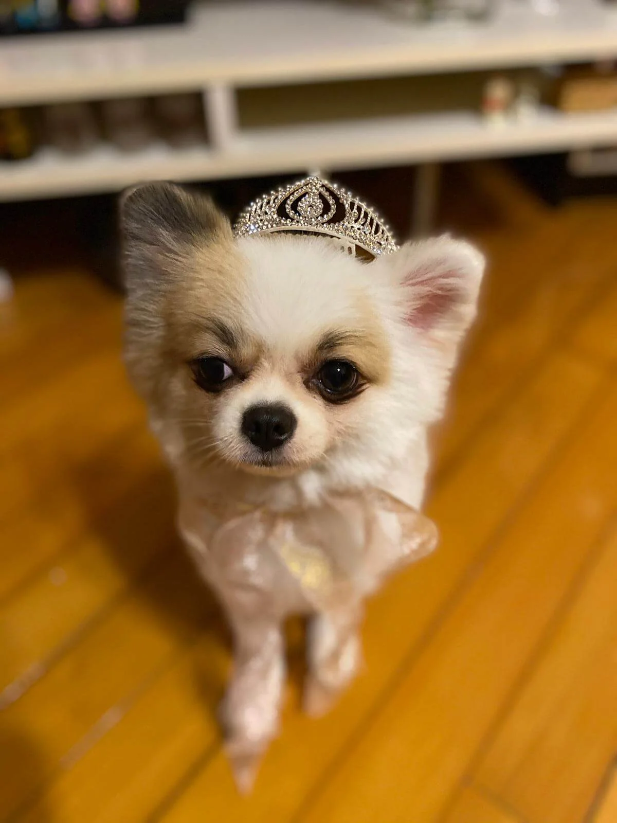 1bfd2c15-f04d-475f-92d9-ecd3512de746