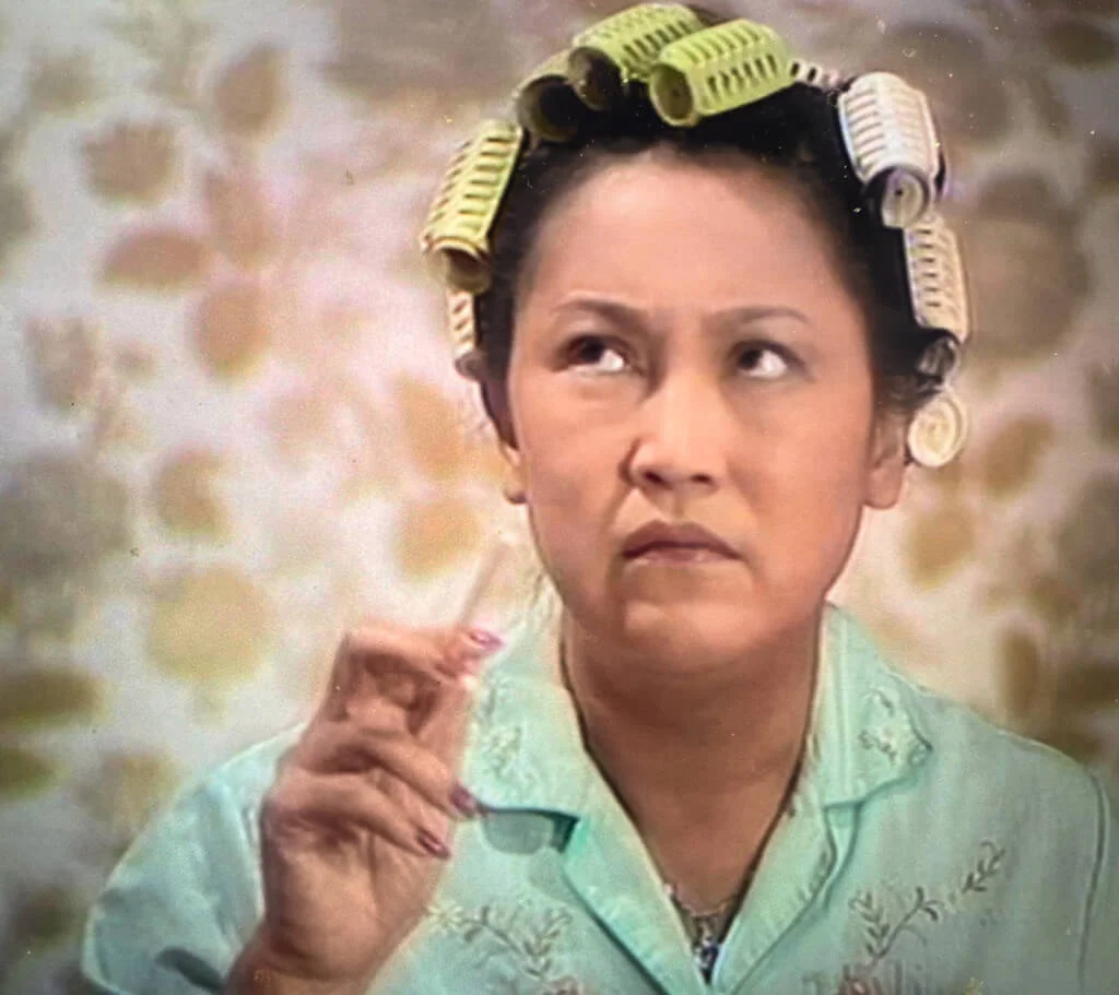 這一次，琴姐只是小朋友靚Doy（鄭大衛）的媽。靚Doy 叫馮淬帆大表哥鄭少秋二表哥，所以，琴姐是二人的姑媽。姑比姨親，難兄難弟的這位姑媽，名義上與一對姪兒同住是方便照應，但家中還有一名鐘點順德女傭，琴姐雖然早餐的蝦子麵還是要親自下廚，但髮卷放下，換回襯衫長褲，這是個亮麗角色。