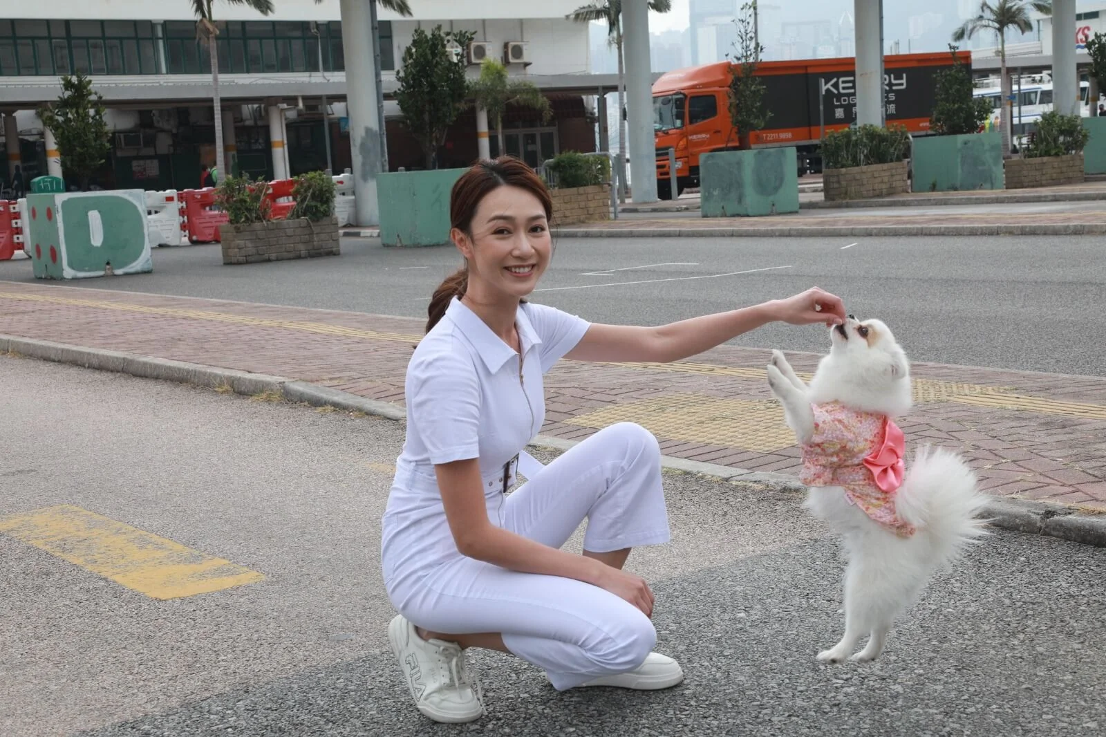 3d1e69cd-271c-4491-a875-b9682aee5651