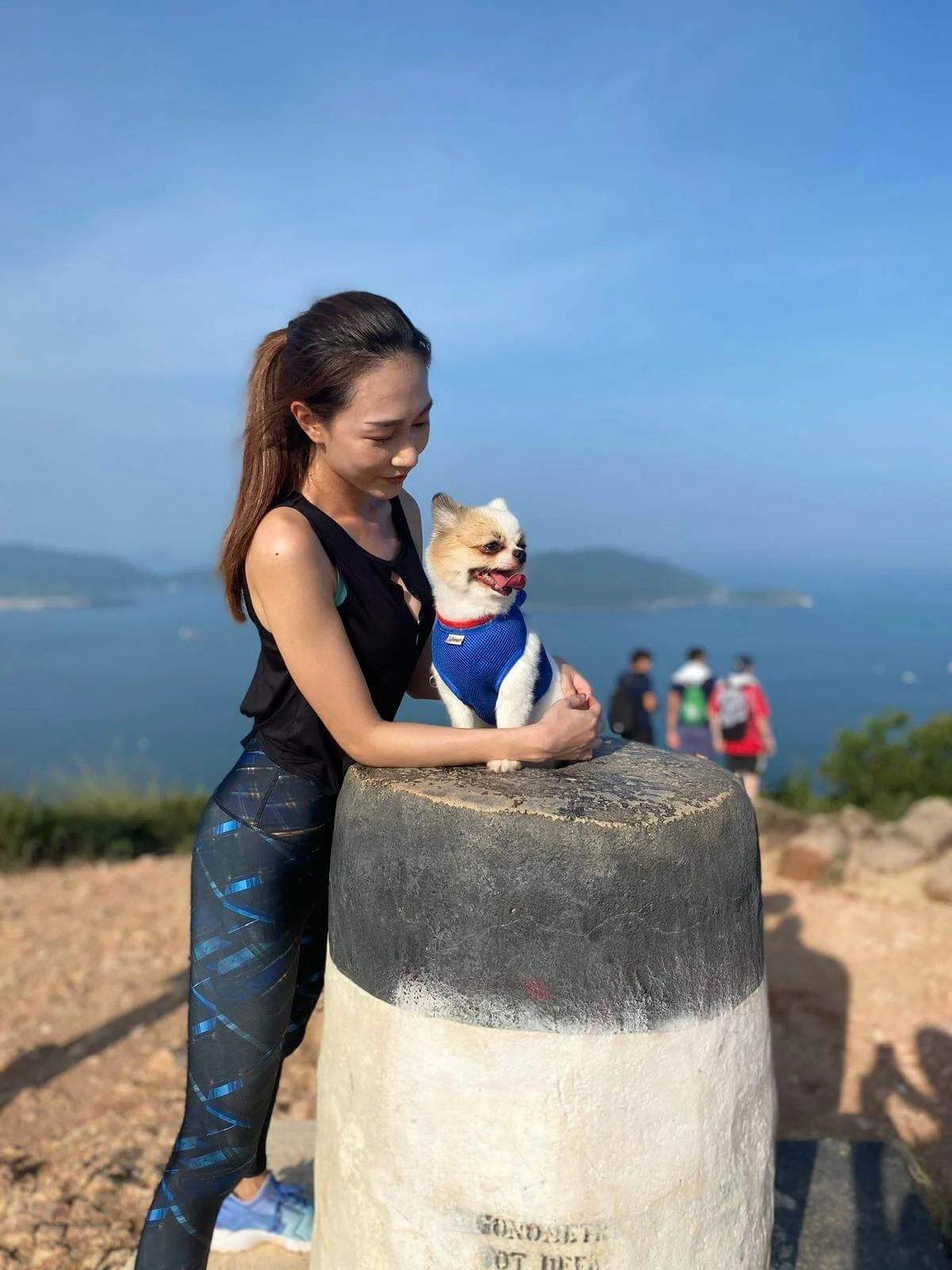 77884dbb-5a7f-4ca0-aa25-5e05530b3fd4