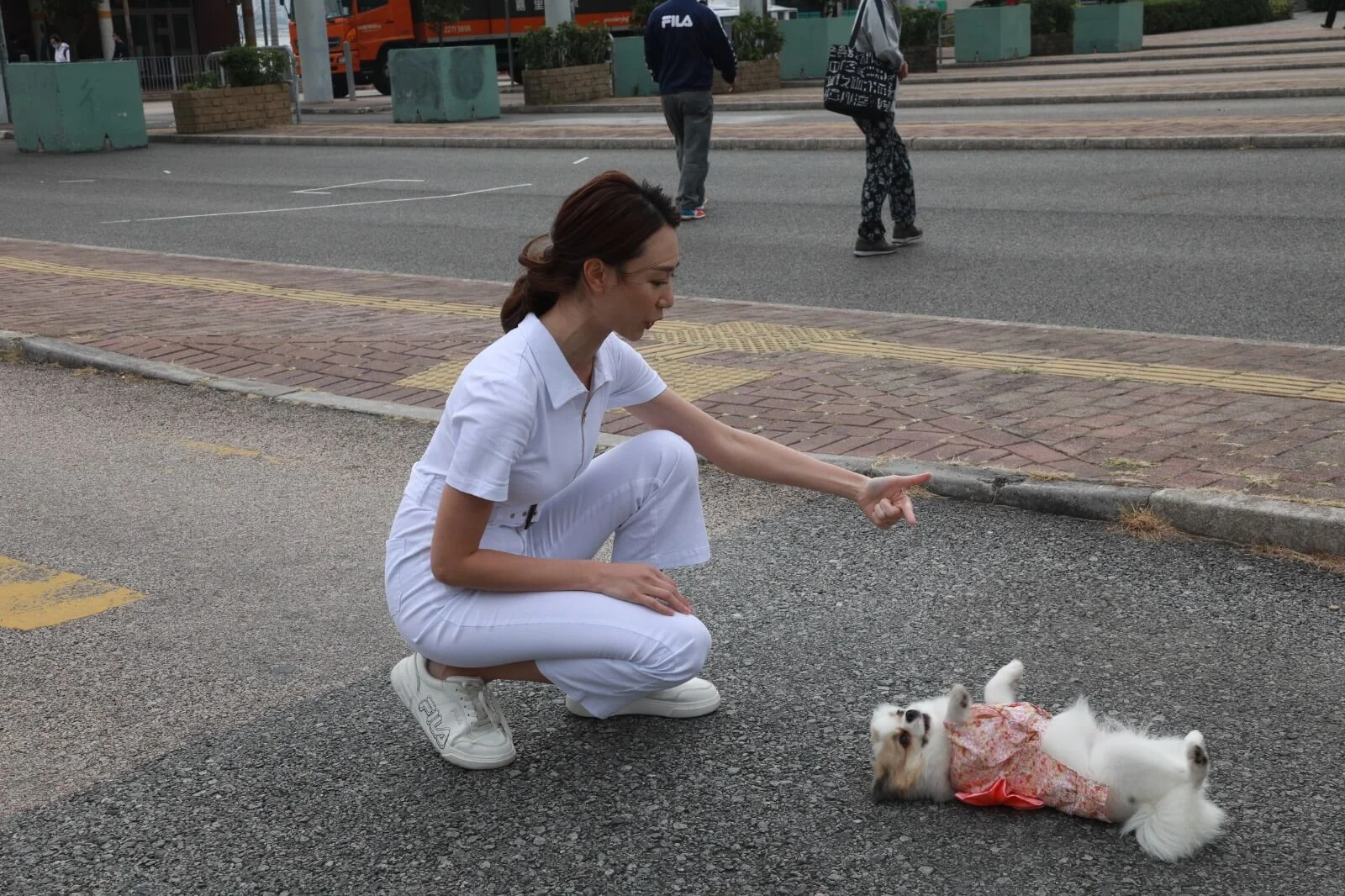 8e1d5cb4-8b05-4c4e-81c6-1ecaead59862