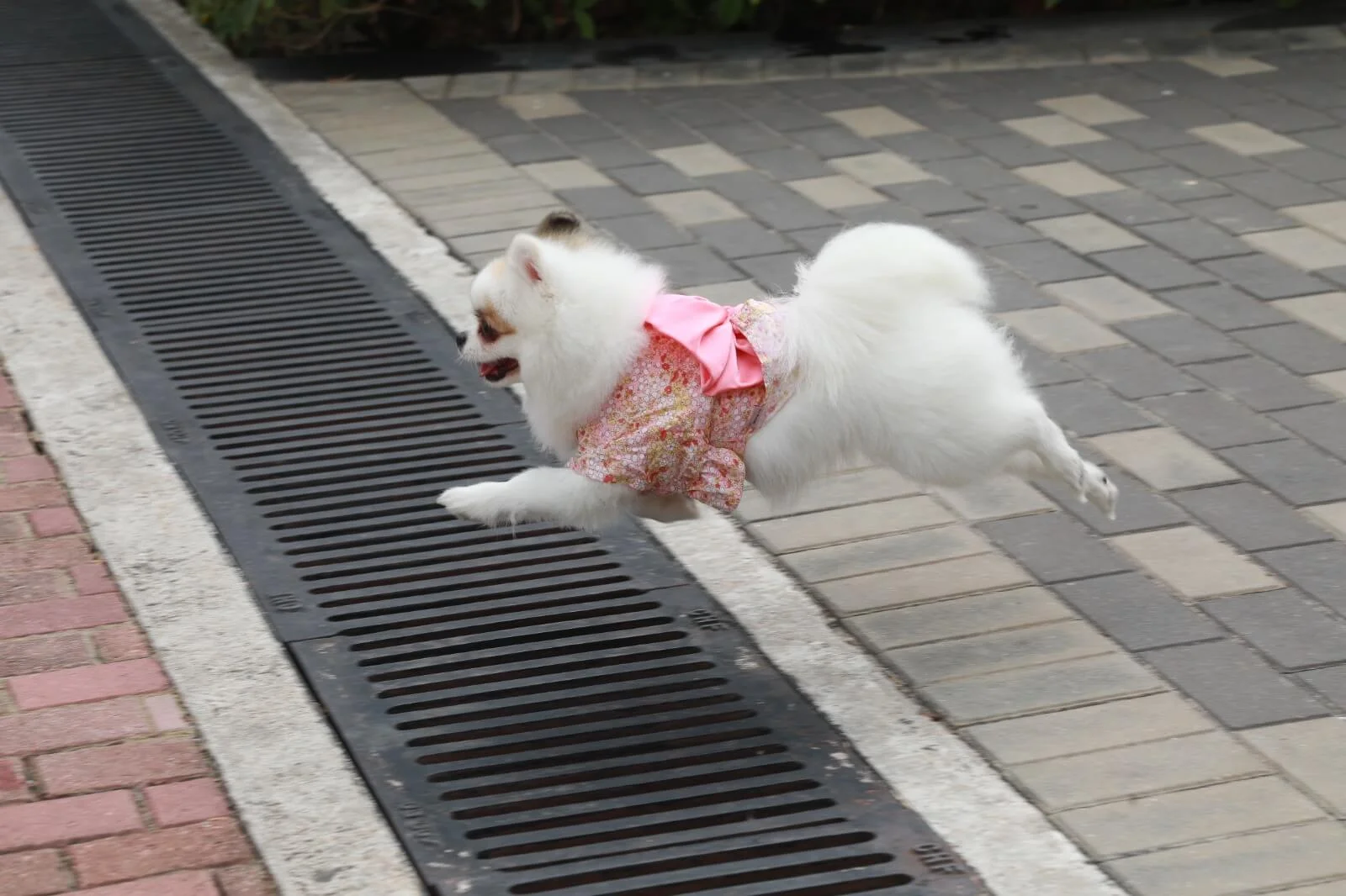 911b56e6-9ff6-420c-874c-ee111f89d89b