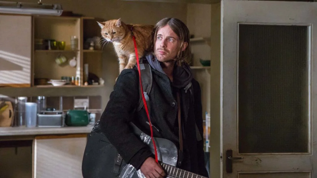 《街角再遇Bob》中可愛得來又有性格的橘貓肥波,跟男主角路克徹特維演出甚有默契。