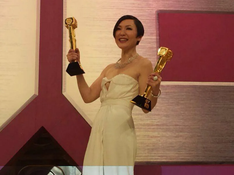 一三年,田蕊妮憑《巨輪》奪得最佳女主角及最受歡迎電視女角色兩個獎項。