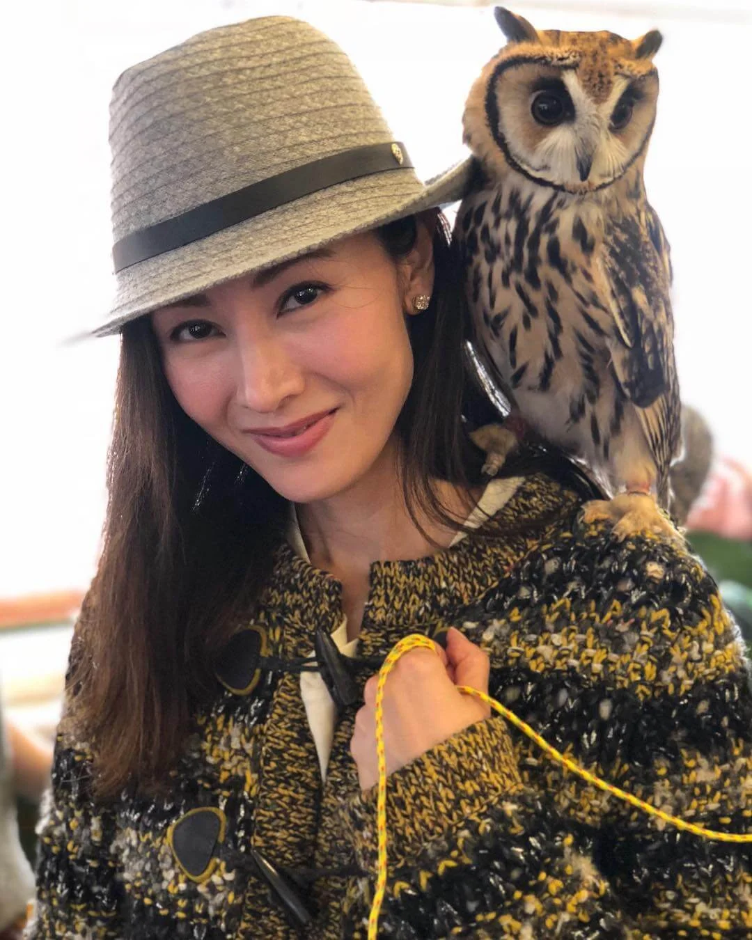 29417989_445975619165390_3094965171643219968_n