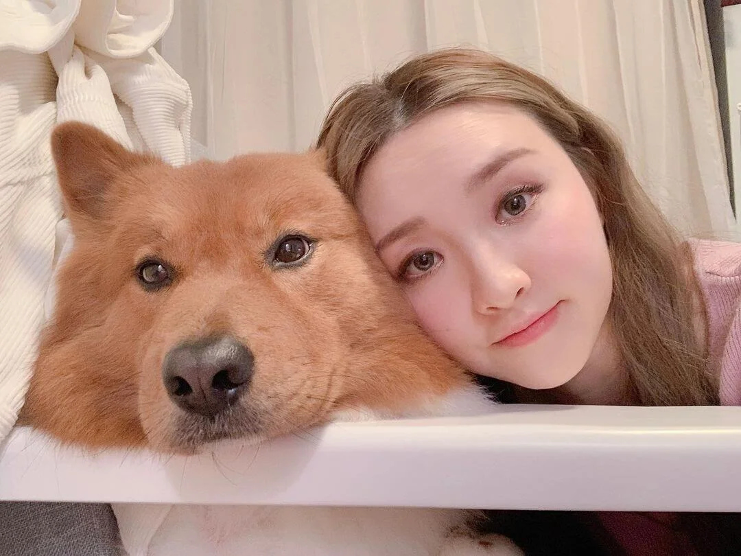 154923746_190377879529534_7854834380524226811_n