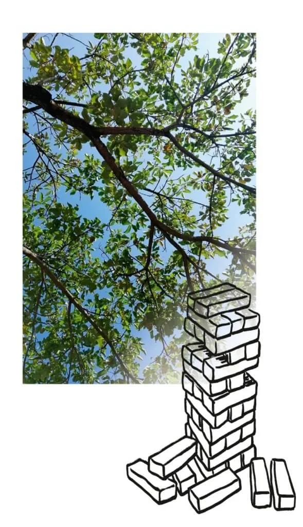 7bfc77b5-6b88-46f8-867b-d90607e5529c