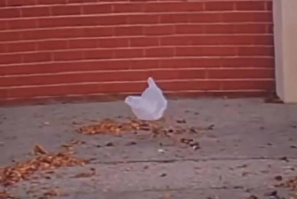 plasticbag