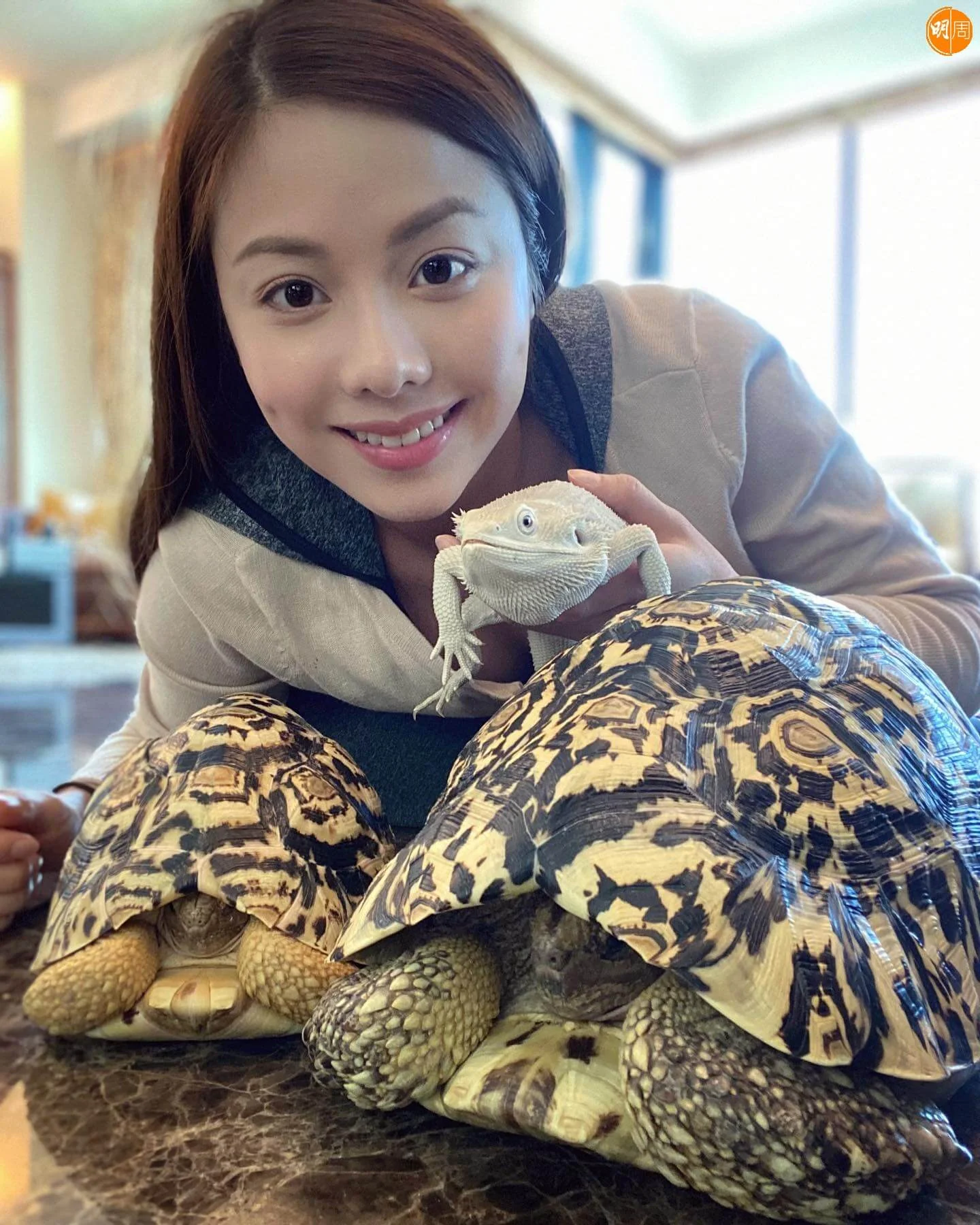熱愛小動物的她曾飼養鸚鵡、蛇及蜥蜴等。