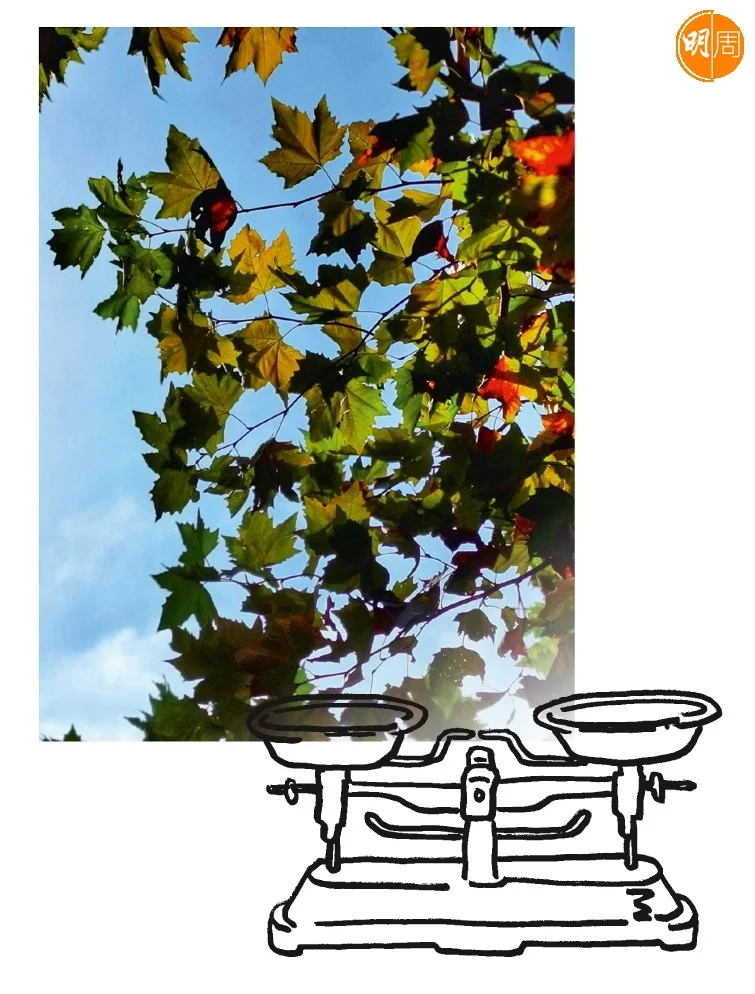 c20ff17b-c3fd-426e-bc95-54f9e70a4544