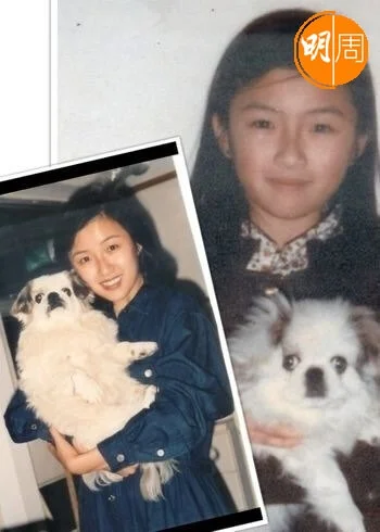 何婉盈由小到大都喜歡養狗