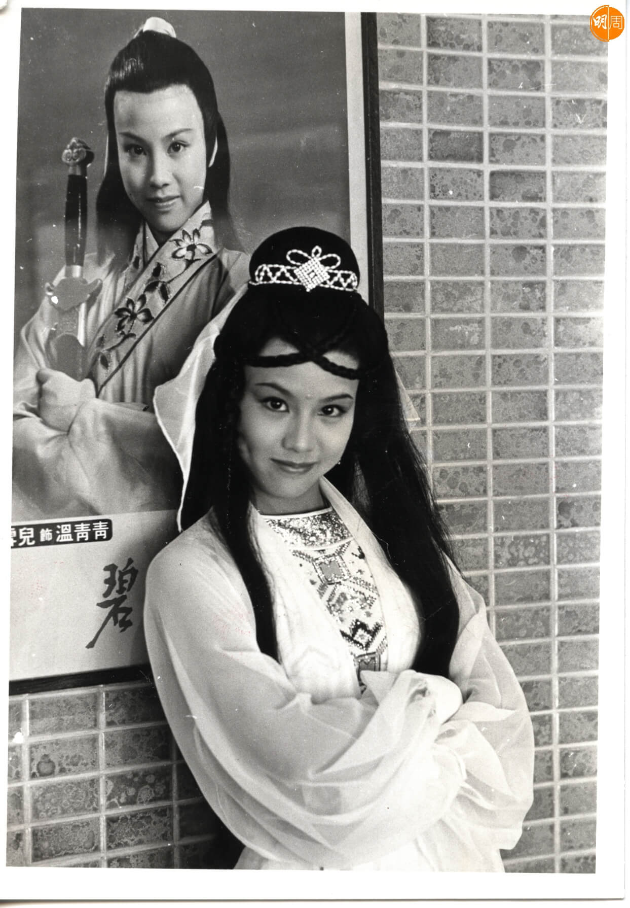入行拍攝第一齣劇集《碧血劍》，並以十六歲之齡飾演女主角溫青青。