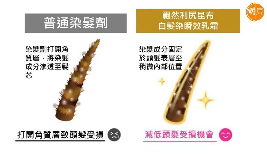 飄然利尻昆布白髮染瞬效乳霜將染髮成分黏附於頭髮表層,減低秀髮受損機會。