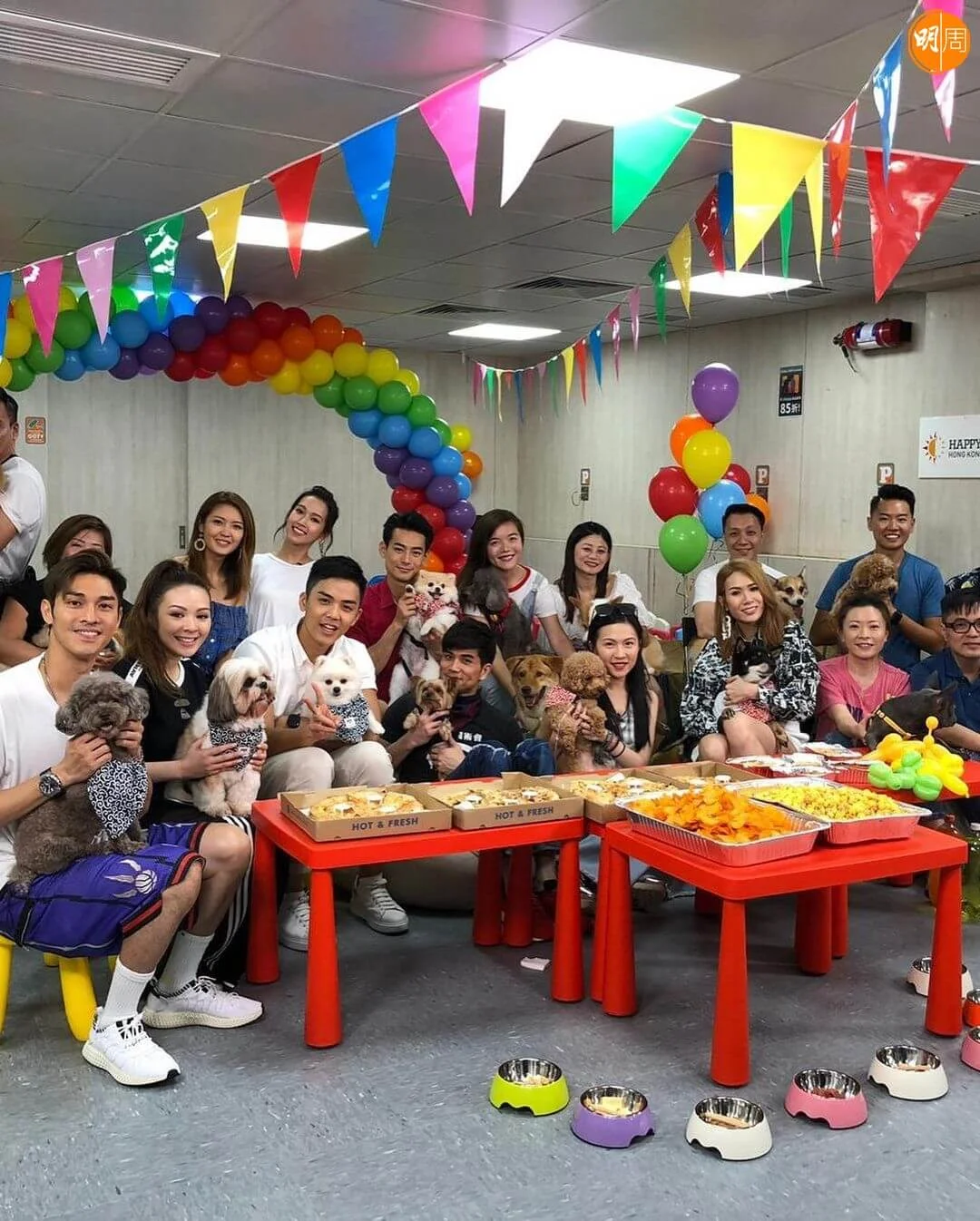 66789874_400299480601628_3919493393912754117_n