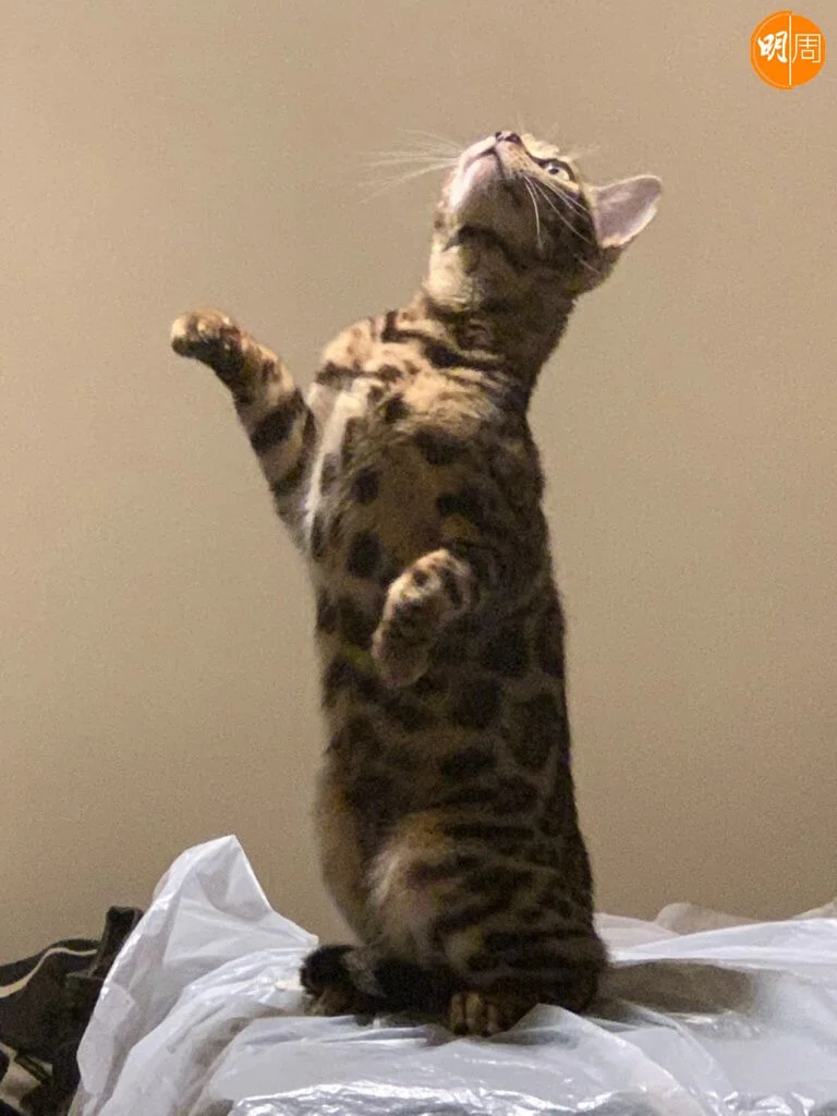 bd61f799-dbfe-4d4b-84e0-5fda01d1b003