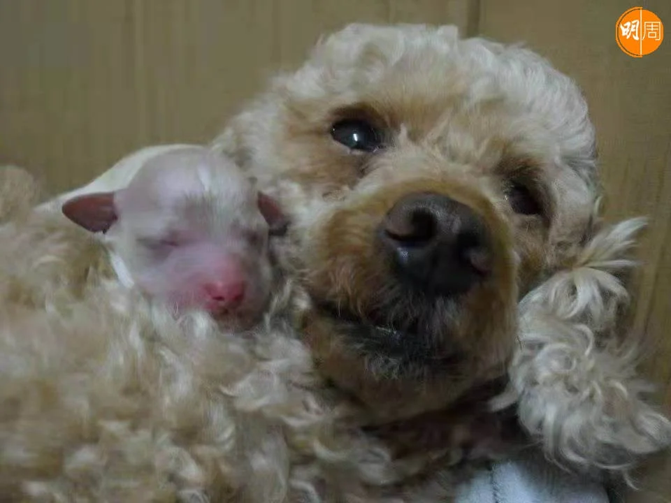 whatsapp-image-2022-02-07-at-10-52-59-4