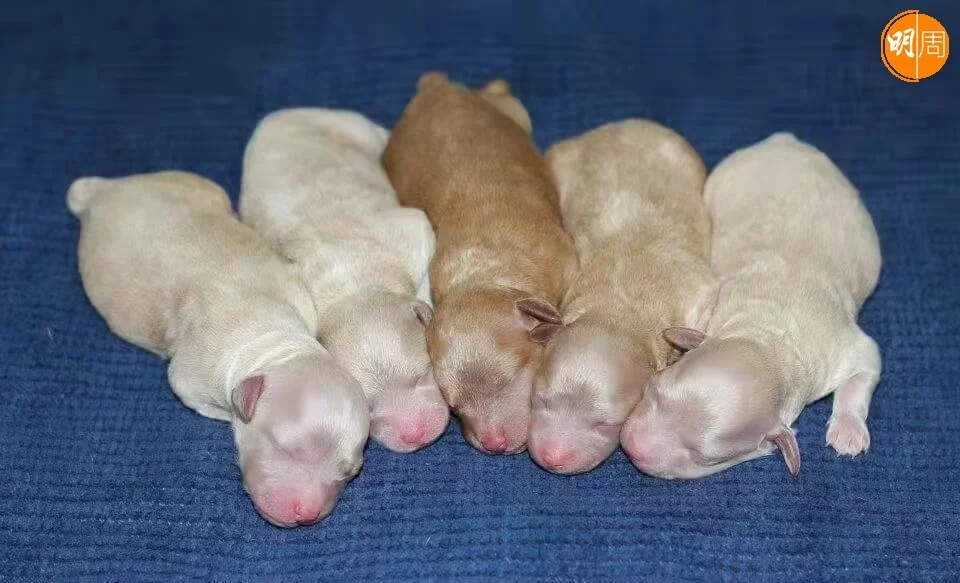 whatsapp-image-2022-02-07-at-10-52-59-6