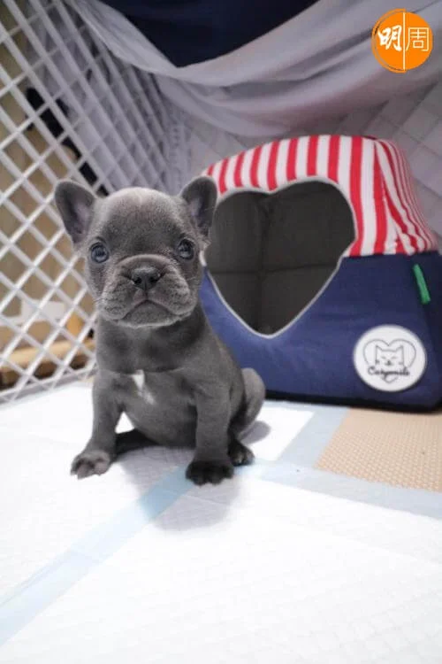 whatsapp-image-2022-03-21-at-11-19-47-2