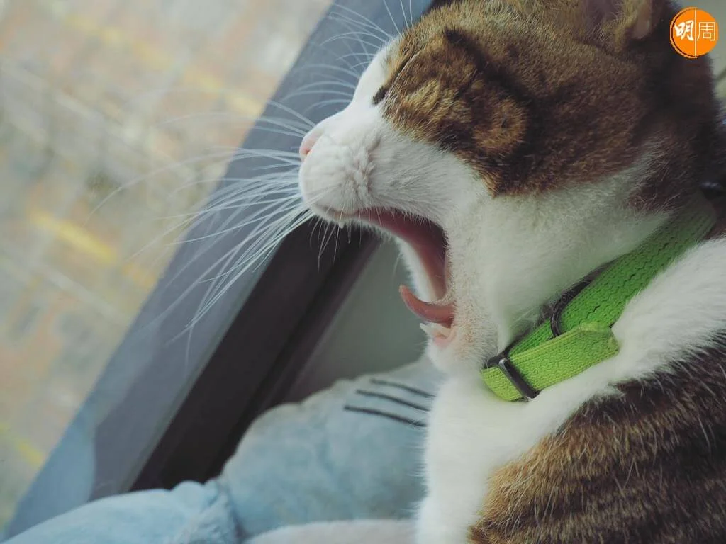 whatsapp-image-2022-04-18-at-7-26-51-pm