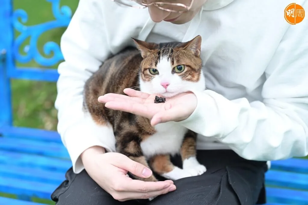 whatsapp-image-2022-04-28-at-2-56-45-pm-5