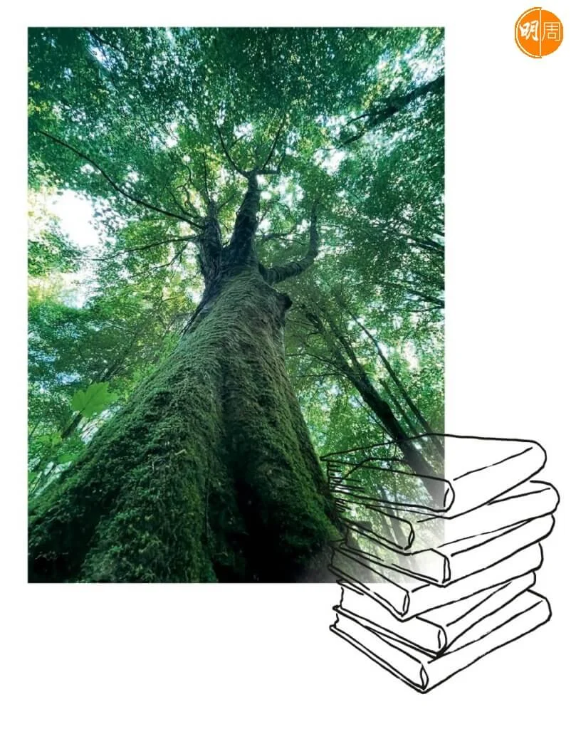 694ec539-762e-49d9-9cfc-33cc34998cb4