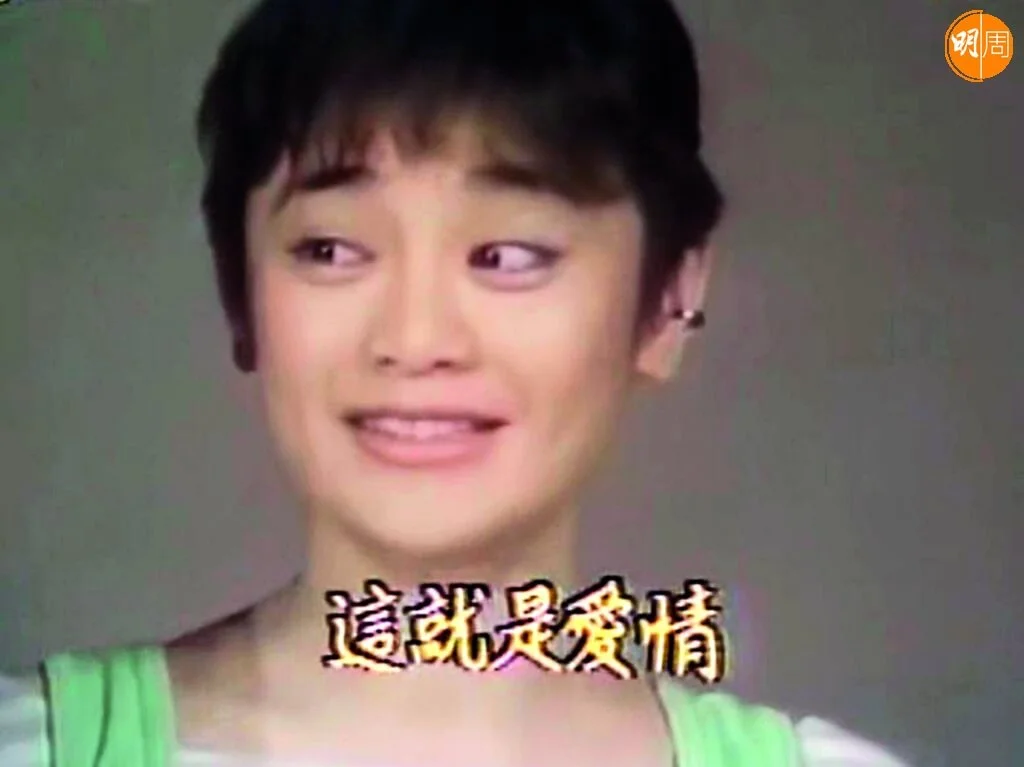 「也許／也許我們倆相處時／瞭解得不夠分明／也許／也許沒有把情意／表露給你_也許／也許能在夢裏相會／也許／也許從此海角天涯／也許／也許／也許」，好多也許，這就是愛情。 