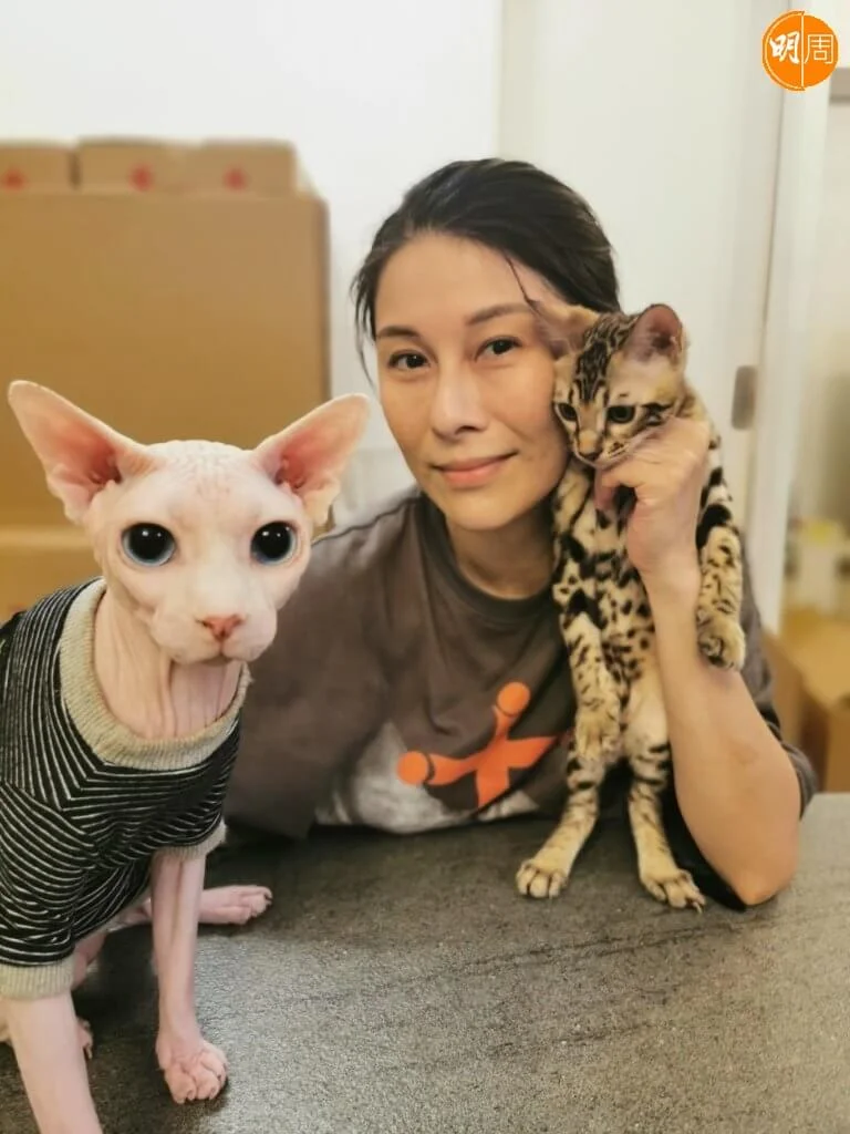 黎淑賢養了兩隻貓貓，無毛貓Pao Pao和豹貓Moser。