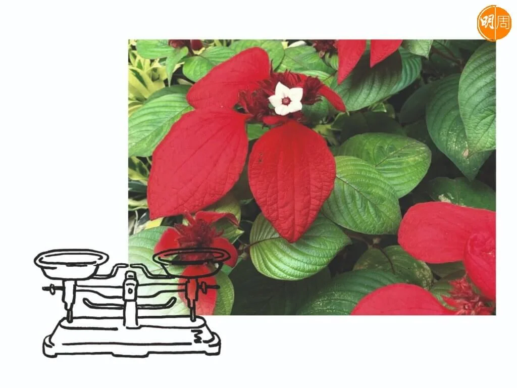 1b936d2d-7b80-45b2-91de-6b5a894d6f8e