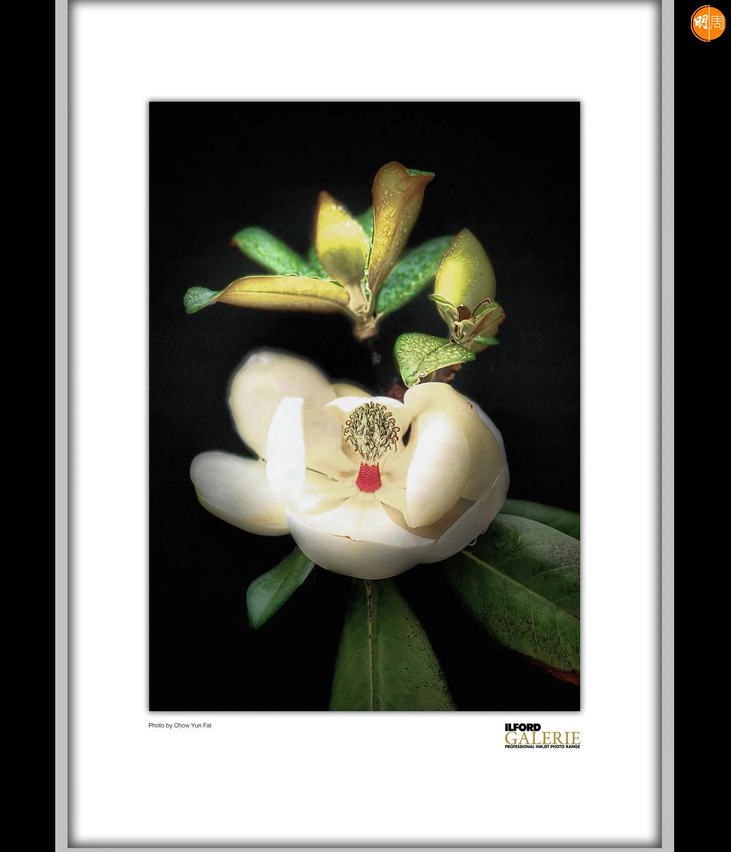 294168076_432535358885154_6099465571331871061_n