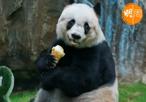 screenshot-2022-07-21-134730