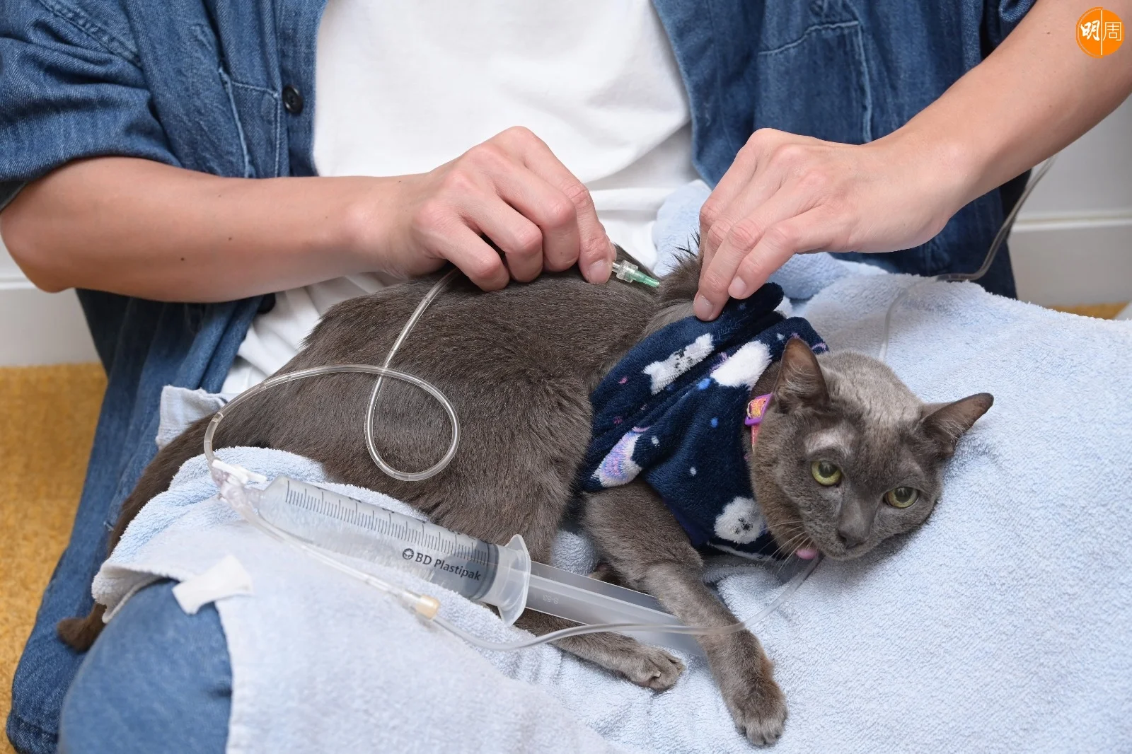 whatsapp-image-2022-07-15-at-4-42-35-pm-2