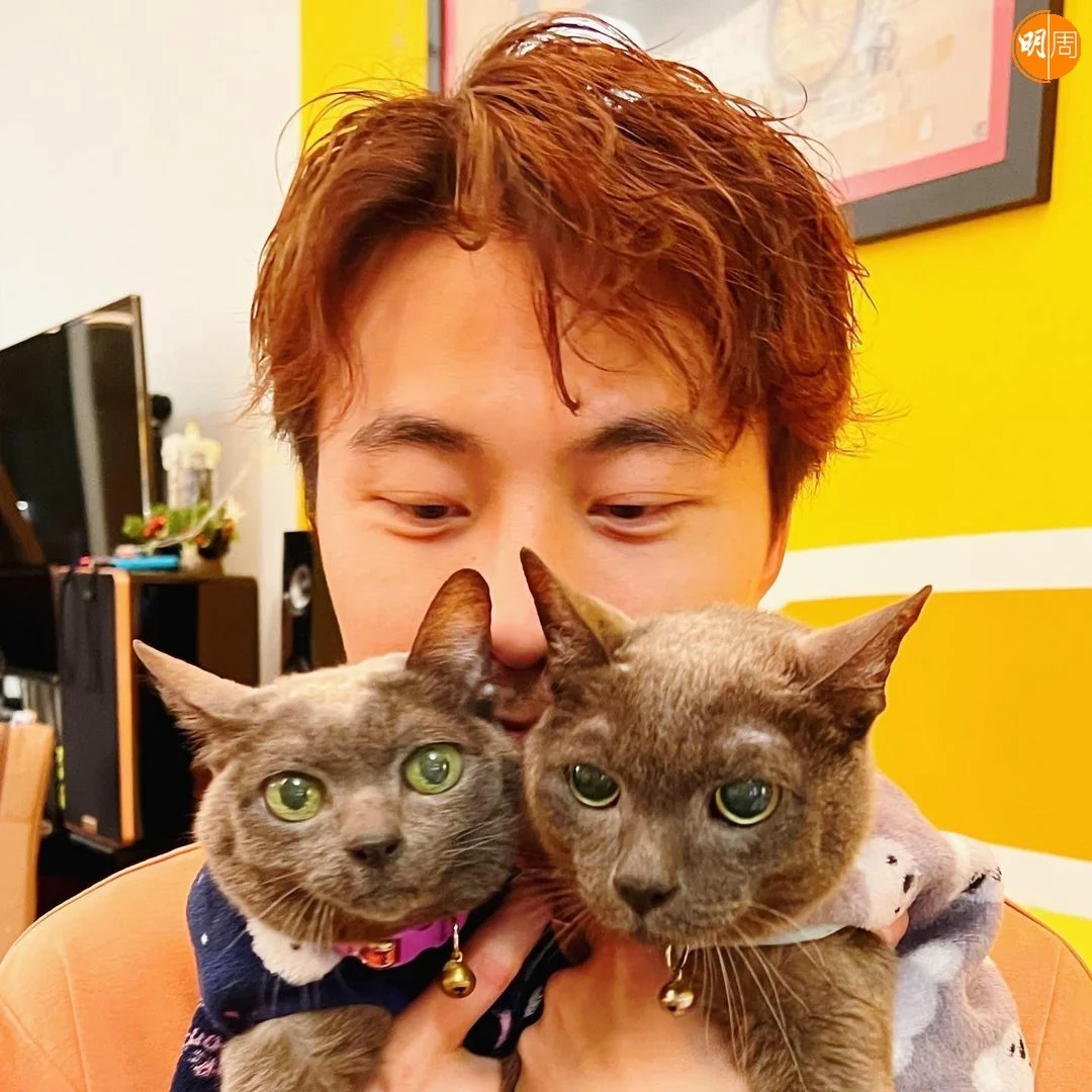 whatsapp-image-2022-07-18-at-12-06-37-pm-8