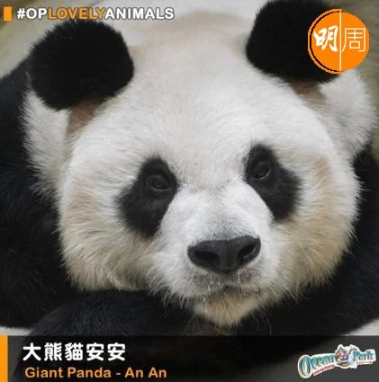 whatsapp-image-2022-07-21-at-1-30-44-pm