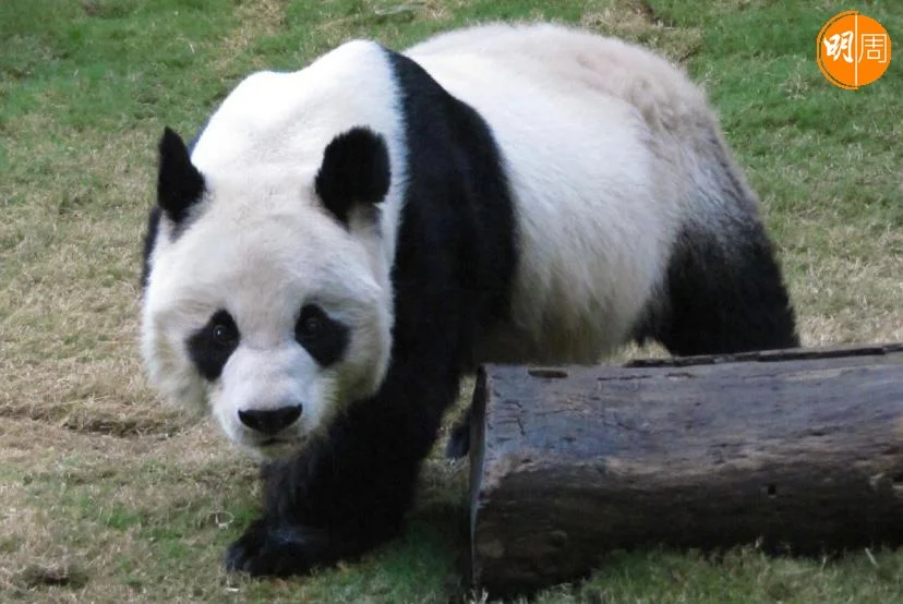 whatsapp-image-2022-07-21-at-1-30-47-pm-1