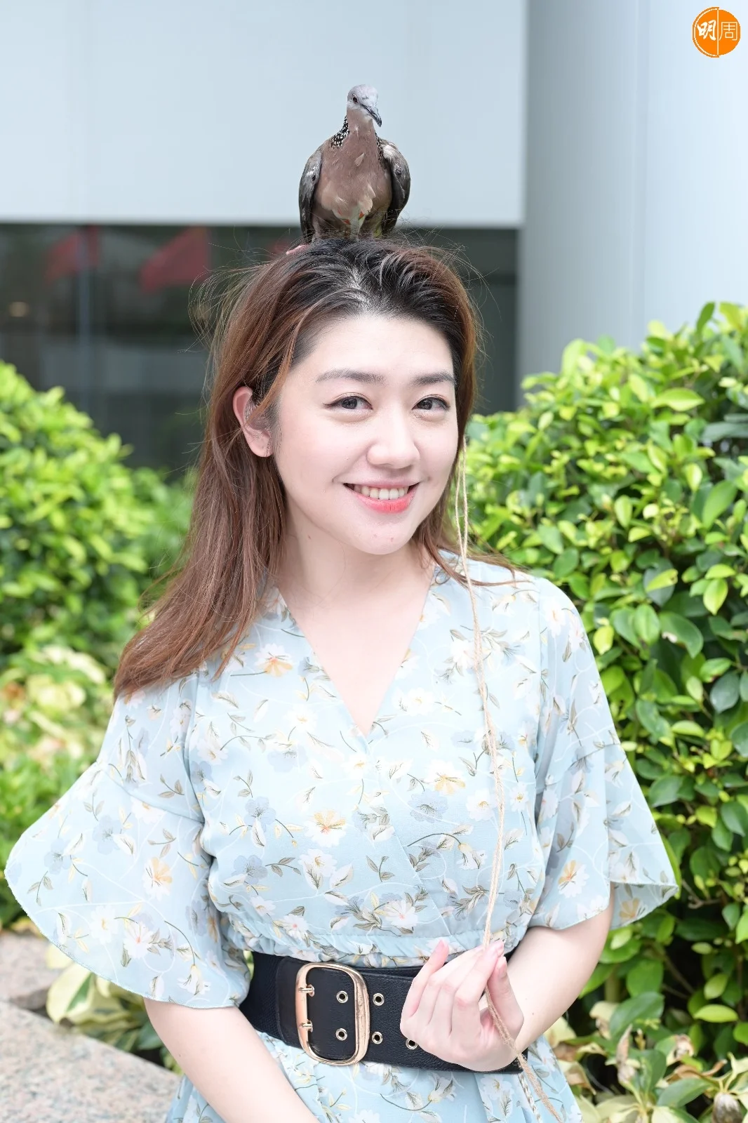 荳荳最愛停留在Ivy頭頂，當作現成雀巢。